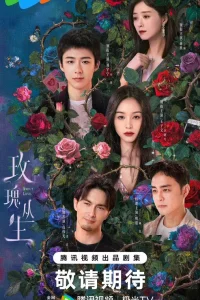  Цикада 